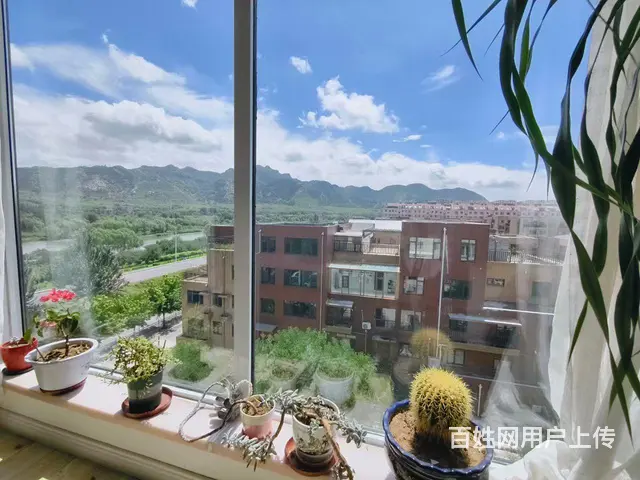 纯河景一中疏港路书包房 - 图片 8