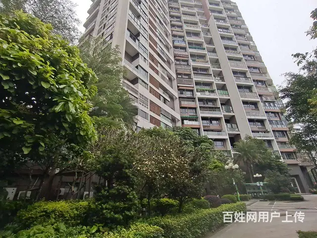 东方顺景 正规家具家电齐全 遇见就不要错过 - 图片 11