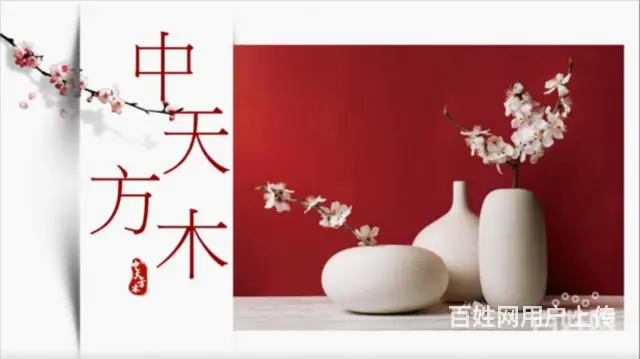 我总算知道珠海什么行业好挣钱了 - 图片 8