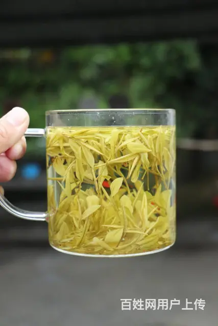 谷雨黄金芽 消暑解渴提神 小戴白茶直销 - 图片 3