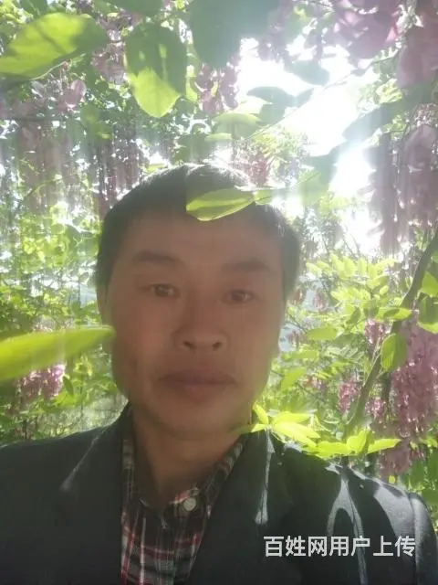 我是真心诚意找个女子与我相依相守不离不弃过日子。我 - 图片 4