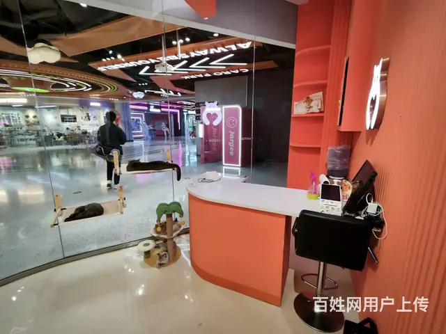 沈北新区吾悦广场宠物店出兑 - 图片 3