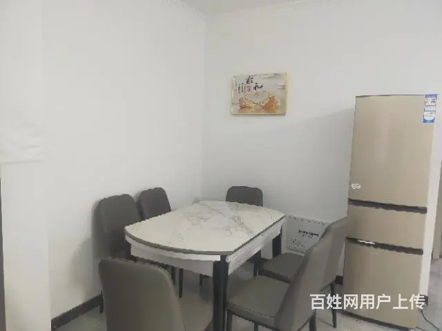 新房子出租啊，不能养狗不能养猫 - 图片 1