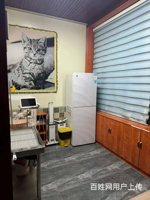 (旺铺猫)：兖州 带几百会员，经营多年宠物店 - 图片 4