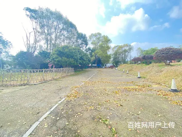 (房东直租)沙坪占地10亩园林式办公，休闲，商业场所出租 - 图片 7