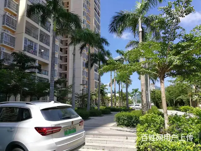 （51旺铺推荐）南新农场80平两室一厅一厨一卫一阳台出 - 图片 2