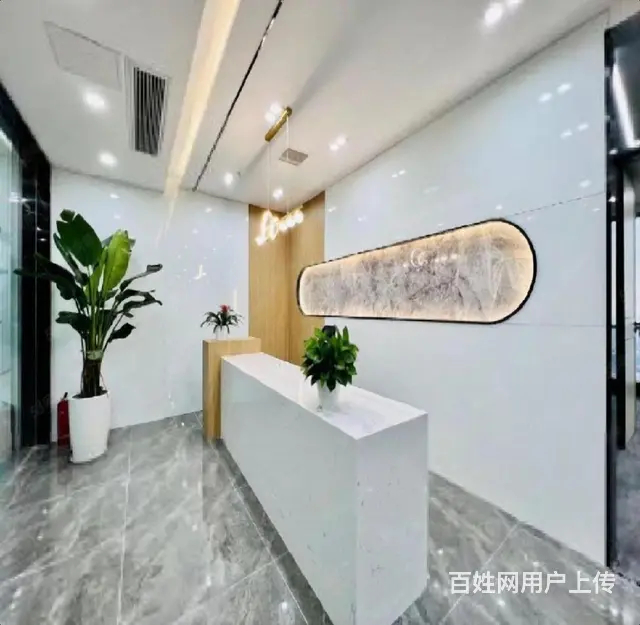 洛龙区核心地段写字楼！正大国际西区210平豪华装修带家具 - 图片 7