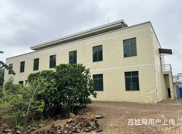 （51旺铺推荐）桂林洋大学城附近整栋楼1200平出租 - 图片 12