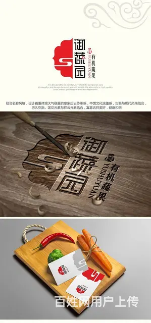 西宁哪里可以设计logo？专业商标设计师，青海乐舟 - 图片 1