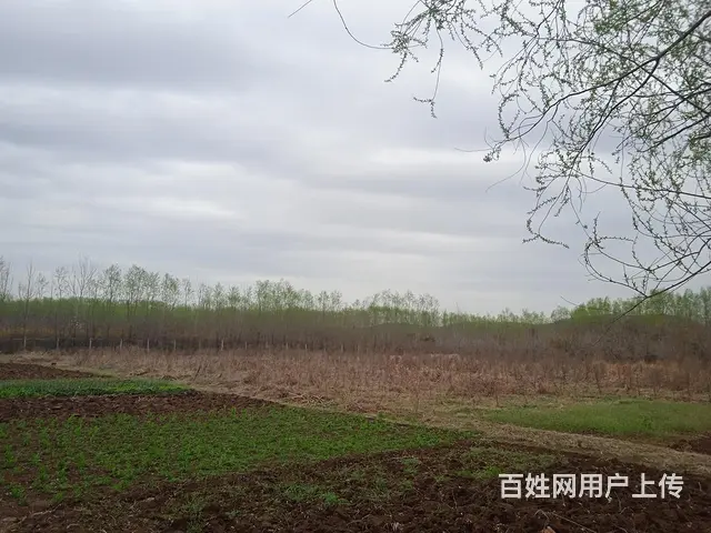 转让转租市中区园林 - 图片 2