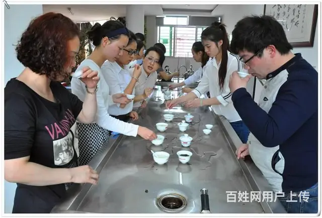 在哪里可以学专业的茶艺师培训 天晟茶艺培训学校 - 图片 3