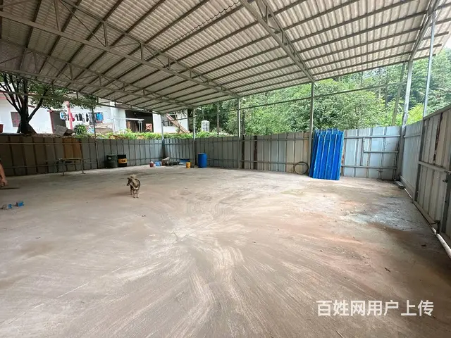 （老板本人）岳麓含浦马路边400平厂房仓库出租  6549 - 图片 8