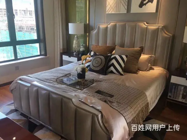 优优学府 精装修住宅 实验小学 师范附属学校，湿地 - 图片 5