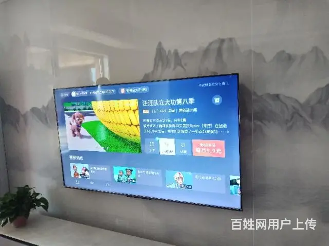 电视机液晶 - 图片 12