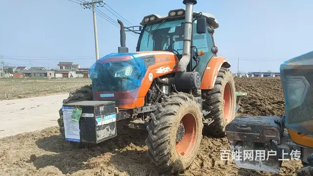 向阳红1804 - 图片 1