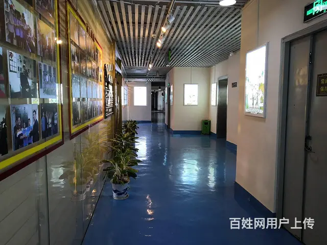（房东租）南屏小面积写字楼65平交通方便采光好 - 图片 4