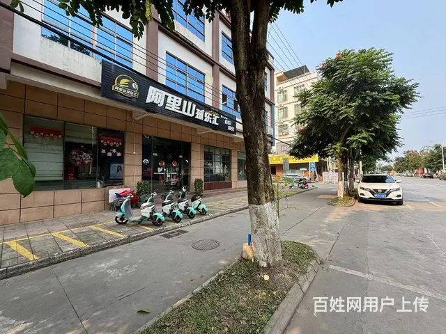 （51旺铺推荐）金江镇400平阿里山球乐汇 - 图片 7