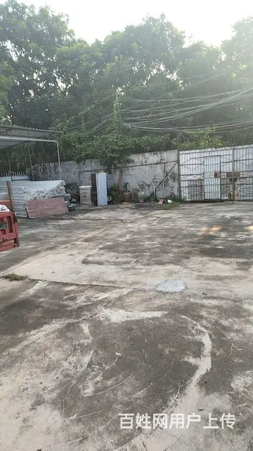 转让黄金地厂房 - 图片 11