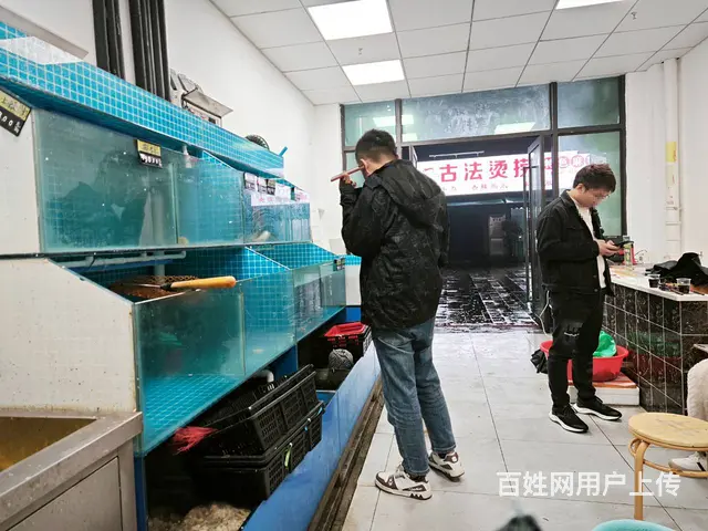 （老板本人）长沙县繁华商圈，网红中茂城精装海鲜水产店低价转让 - 图片 3