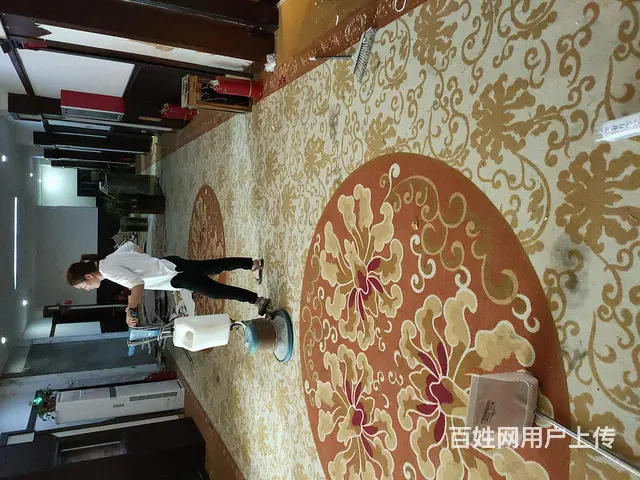 沙发座椅软包窗帘床头地毯清洗除螨 - 图片 8