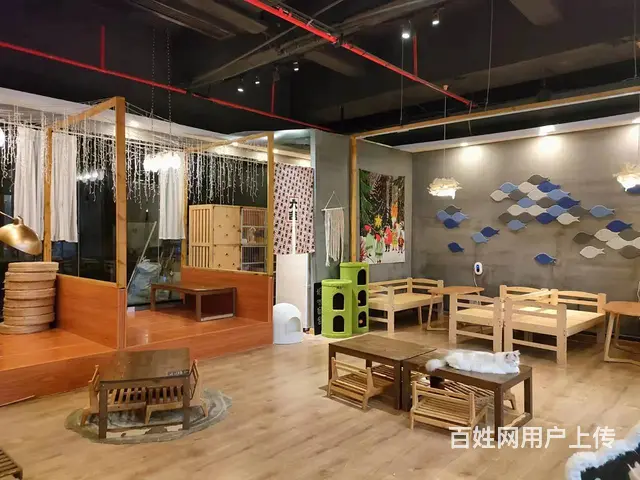 萧山北干商业中心店铺高端群体宠物猫咖店转让 - 图片 2