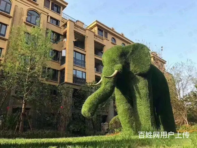 新区万达旁丨优质商铺丨周边商业氛围浓厚丨入住人口密度大丨 - 图片 5