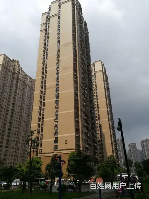 正岳家嘴口 山河大厦 蓝晶绿洲 华腾园 东沙花园 - 图片 10