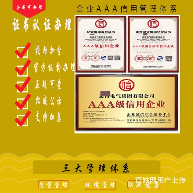 合肥标书制作公司标书投标书代写投书制作电子标书代写 - 图片 9