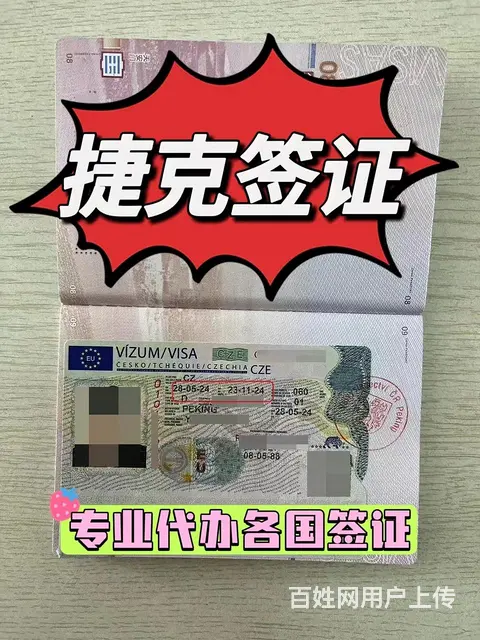 专业代办美国 澳大利亚 新西兰 英国 法国签证 - 图片 6
