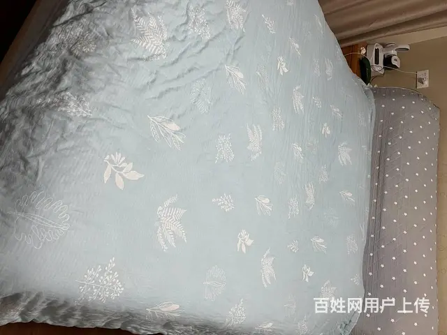 转让家用双人床和沙发 - 图片 1