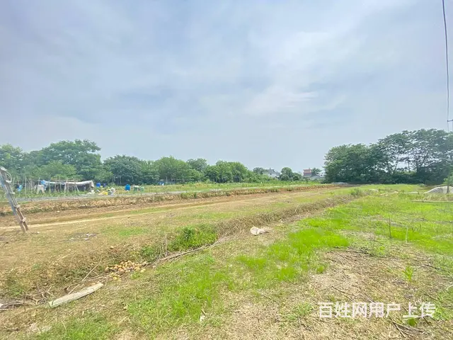 开福大道10亩坪，可做农家乐，花园，露营，种植养殖基地 - 图片 6