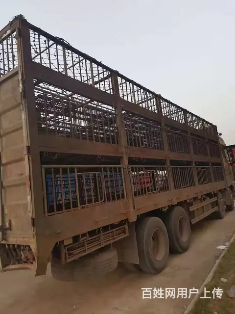 欧曼EST460马力猪笼车，带全保仅此一台 - 图片 2
