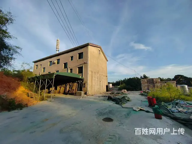 （老板本人）望城区金洲大道附近高速口独门独院场地招租6783 - 图片 8