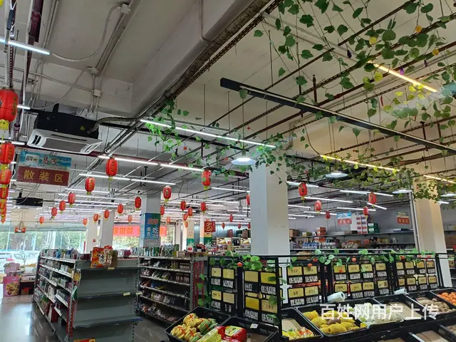 （51旺铺推荐）吉阳大道2600平独栋房子出租另带一楼超市 - 图片 9