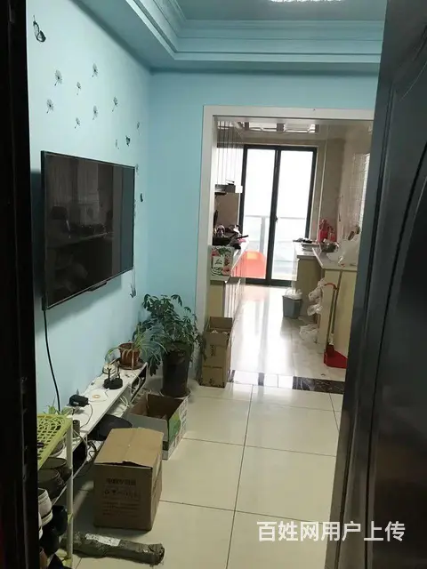 适合陪读的房子 - 图片 5
