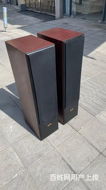 丹麦原装进口至尊XL170三分频双6.5寸发烧音箱 - 图片 8