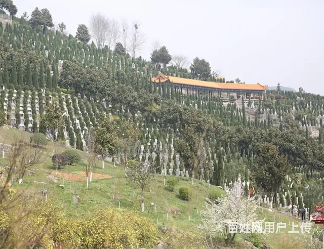 乌鲁木齐公墓大全,中高端的生态艺术陵园 - 图片 2