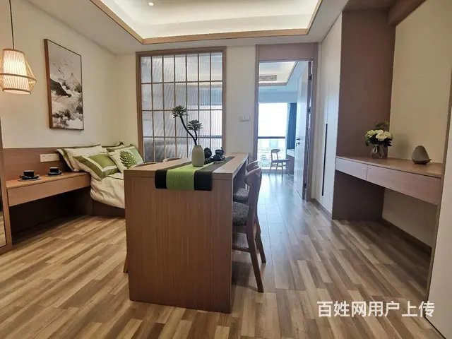 龙湖星图少量余房首付十几万现房民俗恐龙园景观房带独立厨卫阳台 - 图片 6