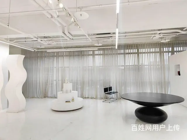 省体育馆旁！商业可打店招！整层大开间！摄影展厅艺术风格！ - 图片 9