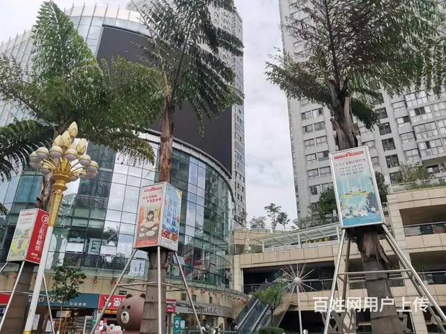 极中心 普通住宅2厅 精装修 - 图片 2