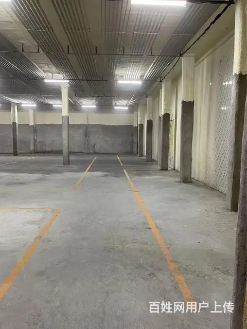 (58今铺推)十一路好地段 1000平方冷库 可整租或分租 - 图片 1