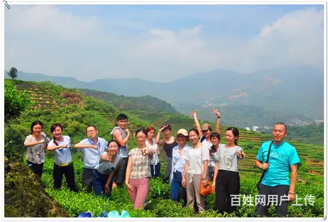 沈阳茶艺培训招生简章开班了 - 图片 8
