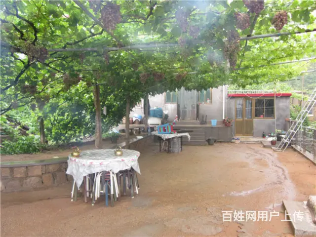 秦皇岛正式的昌黎葡萄沟民宿  微信号多少 - 图片 1