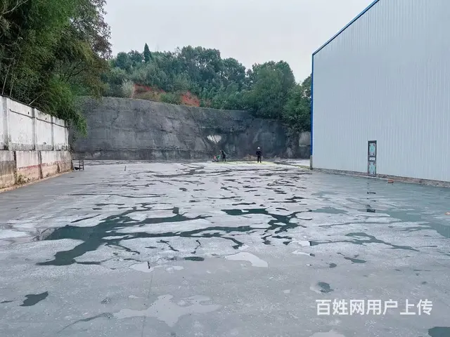 （老板本人）G319国道边新建独门独院厂房仓库出租 6187 - 图片 9