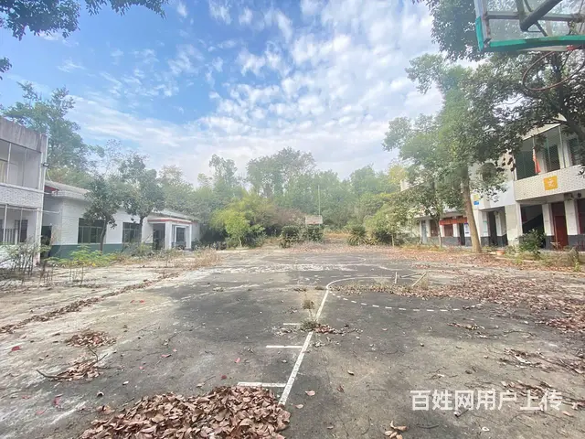 (房东直租)白箬铺319国道占地6亩场地，学校，可随时改厂房 - 图片 10