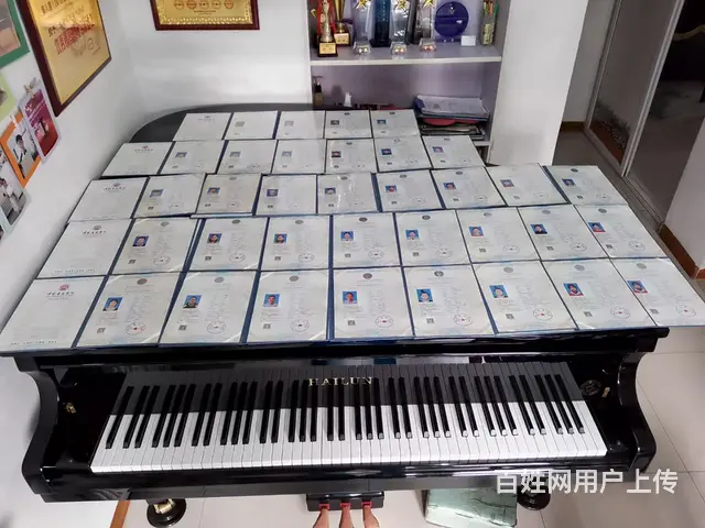 沈阳教成年人速成学钢琴 - 图片