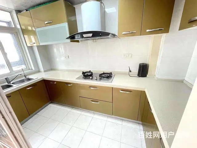 月付 西园路 西环路 新庄二村 精装三室 农校附近 小洋房 - 图片 4