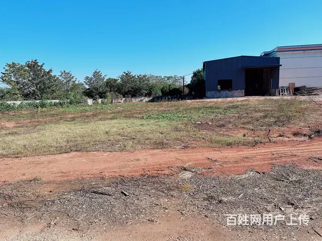 （老板本人）长龙收费站附近新建独门独院厂房带场地出租5645 - 图片 11