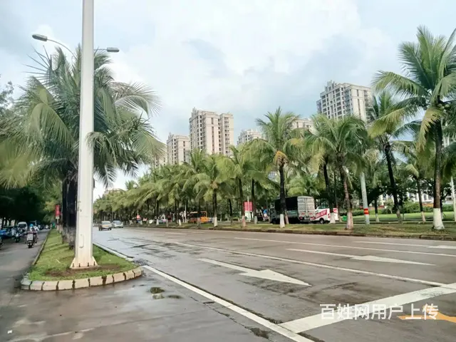 （51旺铺推荐）椰海家园62平旺铺招租 - 图片 7