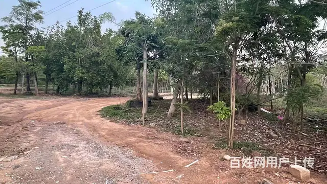 （51旺铺推荐）陵水144亩土地转让 - 图片 6